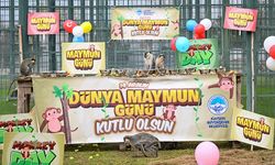 Hayvanat Bahçesinde Muz Şöleni