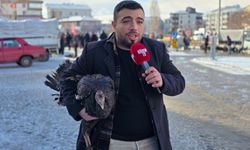 Kırşehir’de Yılbaşı Hindisi Lüks Oldu: Pazar Sessiz, Fiyatlar Dudak Uçuklattı