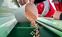 Kırşehir’de kuraklığa dayanıklı yerli tohumlar ekildi