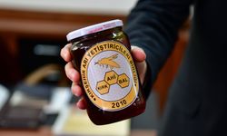 Kırşehir’in Altın Lezzeti “Kırk Ahi Bal” Coğrafi İşaret Yolunda