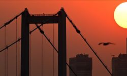 Türkiye’den küresel iklime katkı