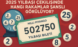 2026 Yılbaşı Çekilişinde Hangi Rakamlar Şanslı Görülüyor?
