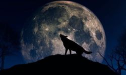 Yılın İlk Dolunayı “Kurt Dolunayı” Gökyüzünde Parlayacak