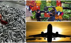 Balık, Et ve İlaç Cep Yakıyor; Uçak Biletleri İse Tarihi Düşüşte