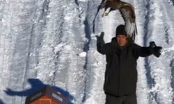 Kırşehir’de Yaralı Kızıl Şahin doğaya bırakıldı