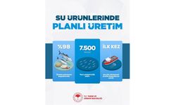 Kırşehir’de Su Ürünlerinde Yeni Dönem Başladı