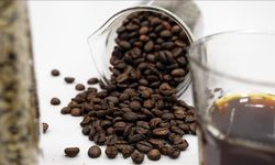 Kahve üretiminde geleneksel yöntemlere çevreci alternatif