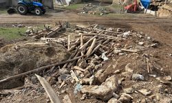 Kırşehir Çiçekli Köyü’nde çadır çöktü, 9 küçükbaş telef oldu