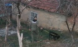 Kırşehir'de operasyon: 9 şüpheli gözaltına alındı