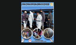 Aşılama Seferberliği: “Kolay Olanı Seç, Aşılamaya Geç”