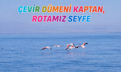 ÇEVİR DÜMENİ KAPTAN, ROTAMIZ SEYFE