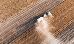 Türkiye’de Tarım Sezonu Kurak Başladı: Yağışlar Normallerin Altında