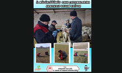 Kırşehir’de İlçe Müdürlükleri Sahada