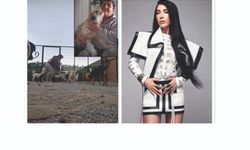 Kırşehir’de Patilerin Melek Annesi’ne Hande Yener’den destek