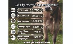 Kırşehir’de Hayvansal Üretime Destek Artıyor