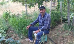 Ömer Faruk Yılancı köyünde defnedilecek