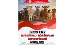 Besilik Sığır İthalatı İcmal Listeleri Askıda