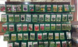 KIRŞEHİR’DE BAHAR HAZIRLIĞI: FİDE SATIŞI BAŞLADI