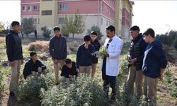 YÖK’ten Yeni Düzenleme: İş Ortamında Öğrenme