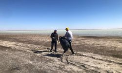 Seyfe Gölü’nde Çevre Temizliği Yapıldı