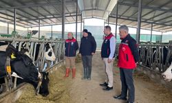 Kırsal Kalkınma Desteğiyle Üretimini Katladı