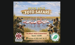 Seyfe Gölü’nde Foto Safari Heyecanı