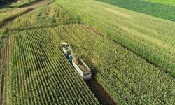 Kırsalda Yaşam Kalitesi İçin 65,5 Milyar Liralık Yatırım Planı