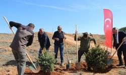 Kırşehir’de 438 Şehit İçin Fidanlar Toprakla Buluştu