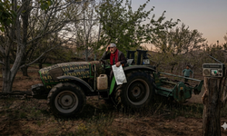 Kırşehir’de Toprak Tavda, Çiftçi Darda: Mazotta “Tarihi Zam” Depremi!