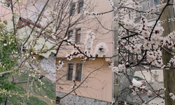 Kırşehir’de Üreticinin Yüreği Don Endişesiyle Çarpıyor