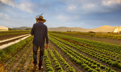 Kırşehirliler dikkat! Çiftçiler için yeni uygulama geldi!