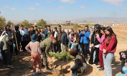 Kök salan gelecek: Kırşehir’de ağaç dikim etkinliği