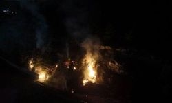 Ormanda Yangın! Sebebi Henüz Belirsiz…