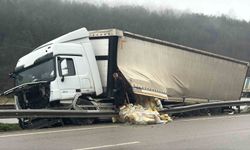 Park Halindeki Tır 500 Metre İlerledi!