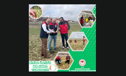 Üretimin Her Anında Sahadalar