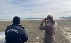 Seyfe Gölü’nün geleceği için titiz çalışmalar sürüyor