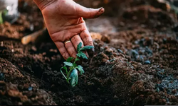Son cemre düştü! Kırşehir’de çiftçiler bahar hazırlığına başladı