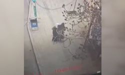 Yaşlı Kadının Çantasının Kulpunu Kesip Cüzdanını Aldı