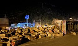 Saman Yüklü Tır Şarampole Uçtu: 1 Yaralı