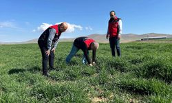 Kırşehir’de Tarım Arazilerinde Yakın Takip