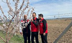 Kırşehir’de Zirai Don Alarmı: Ekipler Sahaya İndi