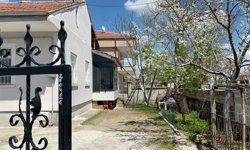 Budama Yaparken Ağaçtan Düştü