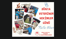 Kırşehir’de Veteriner Hekimler Unutulmadı