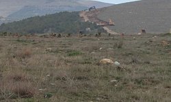 Kervansaray Dağları’nda ağaç kesimi iddiası tartışma yarattı