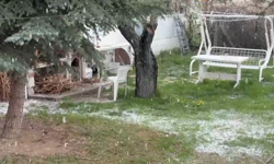 Kırşehir’de Nisan ayı şakasını yapıyor!