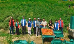 Gönüllü hasat etkinliği 2026 takvimi açıklandı