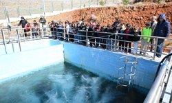 Kırşehir’de Arıtma Tesisleri Kapılarını Öğrencilere Açtı