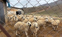 Kırşehir’de çiftçi ile iş birliği sürüyor