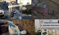 Kırşehir’de Zehir Tacirlerine Darbe: 1 Tutuklama