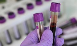 Kanserde İmmünoterapi Dönemi